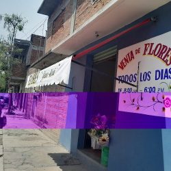 Flores Yuku-kuii