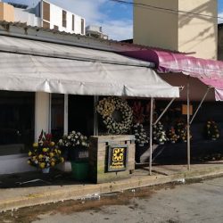 Floresse