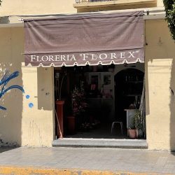 Florex