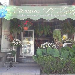 Floristas D' Lucy