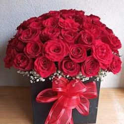 Floristeria