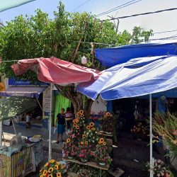 Floristería