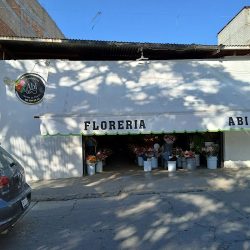Floristería Abi