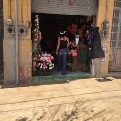 Floristería Alcalde
