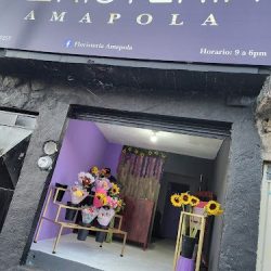 Floristería Amapola