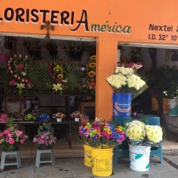 Floristería América