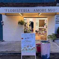 Floristería Amore Mio