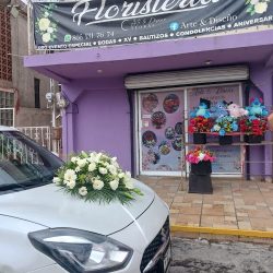 Floristería Arte&diseño