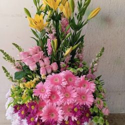 Floristeria Aurora González