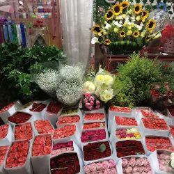 Floristería B'aham