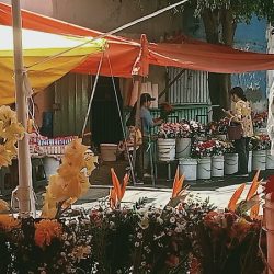 Floristería Casa Flores