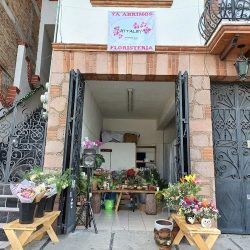 Floristería Cattaleya
