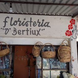 Floristeria D' Bertiux