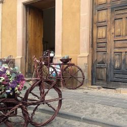 Floristería D´ Denisse