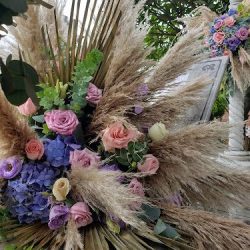Floristería D'mary