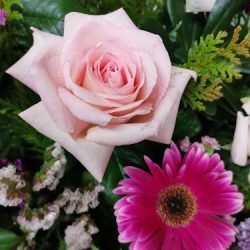 Floristeria De Leon