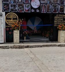 Floristeria Dl