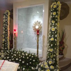 Floristería Dolores Hnos