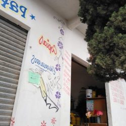 Floristería él Paraiso