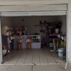 Florísteria Elegance