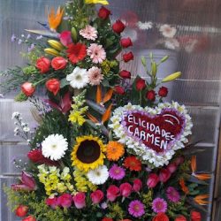 Floristeria Erika
