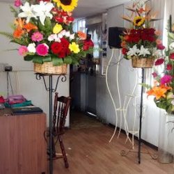 Floristería Escencía
