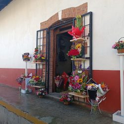 Floristería Esencia
