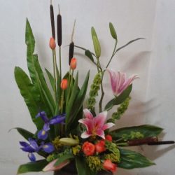 Floristeria "flor De Alba