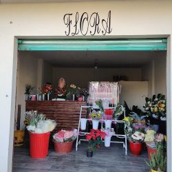 Floristería Flora