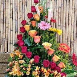 Floristería Girasol