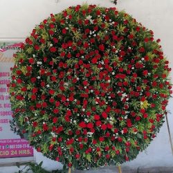 Floristeria Holanda