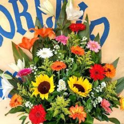 Floristería Huitchila