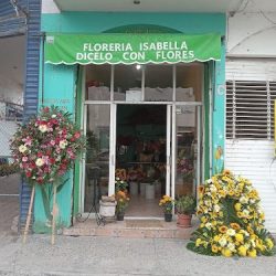 FloristerÍa Isabella"dicelo Con Flores "flower Shop.