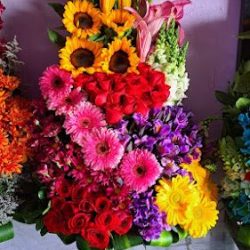 FloristerÍa Jade