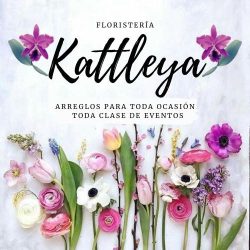 Floristería Kattleya
