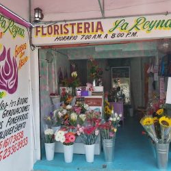 Floristeria La Reyna