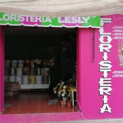 Floristeria Lesli