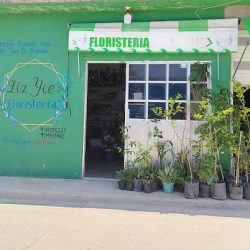 Floristería Líz Yie