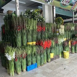 Floristería Los Abuelos D’toluca