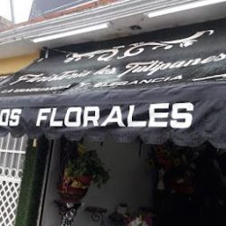 Floristeria Los Tulipanes