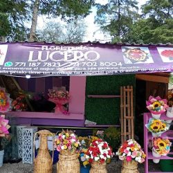 Floristería Lucero