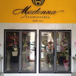 Floristería Madonna Xalapa