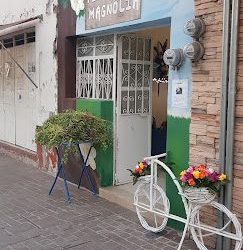 Floristería Magnolia
