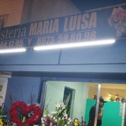 Floristería Maria Luisa