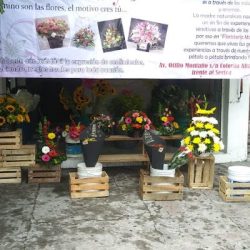 Floristería Mary 3