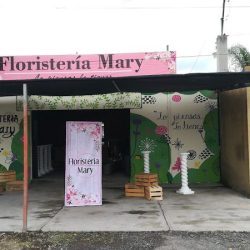Floristería "mary" Ii