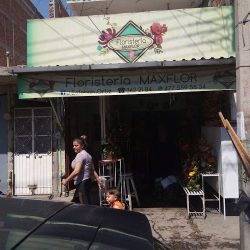 Floristería Maxflor