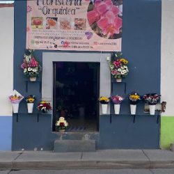 Floristería Orquídea