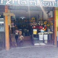 Floristería "orquídea"