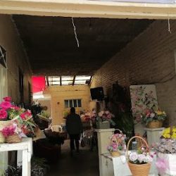 Floristeria Otilia Hernandez